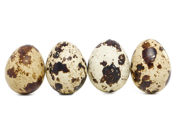 Obraz premium raw quail eggs isolated 