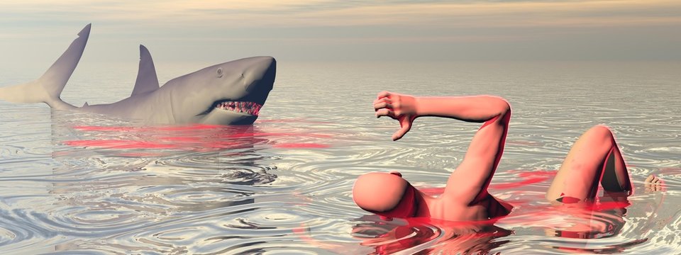 Shark attack - 3D render