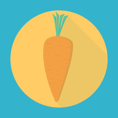 carrot icon vector
