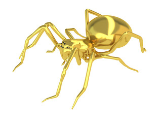 spider