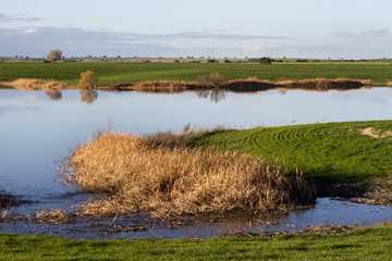  landscape on the Alentejo region, Portugal.