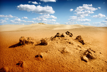 Sand dunest in the Sahara Desert