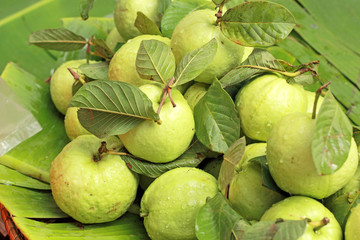 Guava fruit in the market