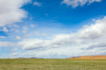 Typical steppe landscape