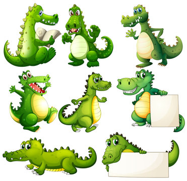 Eight scary crocodiles