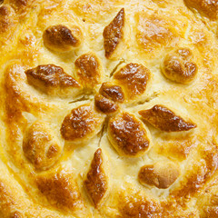 meat pie with beautiful patterns © Evgeniya Uvarova