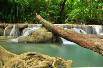 Green Waterfall in Tropical Rainforest