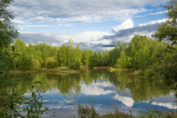 Fototapeta premium A walk on a summer morning in the forest lake.