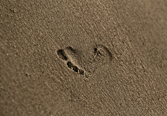 Fototapeta na wymiar Coastal sand
