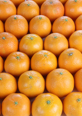 Ripe tangerine