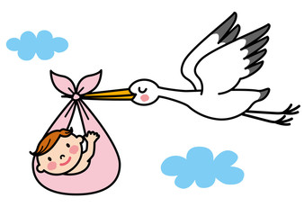 コウノトリ　赤ちゃん