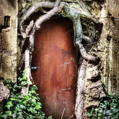 Foto op Plexiglas Alte Tür umrahmt vun Wurzeln © Peggy Blume