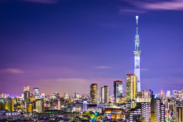 Naklejka premium Tokyo Cityscape with Skytree