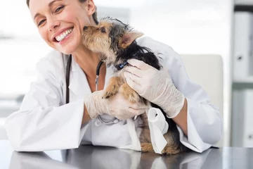 Foto op Plexiglas Puppy kissing female vet © WavebreakMediaMicro