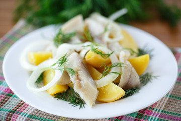 salted herring with onion rings and dill