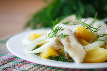 salted herring with onion rings and dill