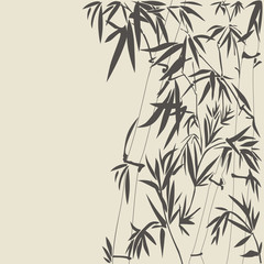 Bamboo vector illustration