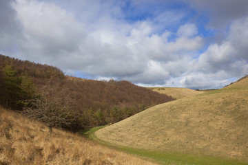 Fototapeta na wymiar yorkshire wolds hillsides