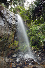 Jungle Landscape with Waterfall