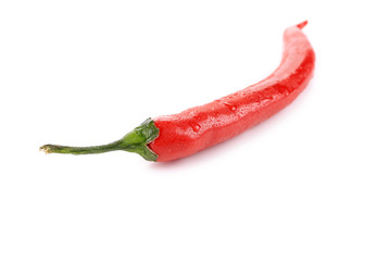 Hot chili.