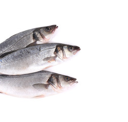 Three fresh fish.