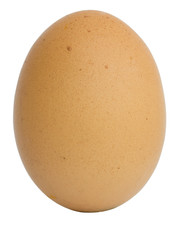 egg