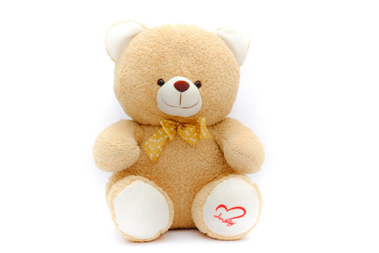 lonely brown bear doll  on isolated background