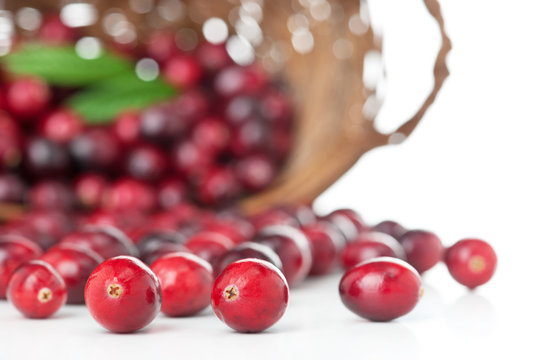 Cranberry