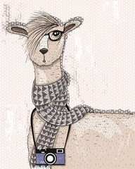 Obraz premium Ładny hipster lama z aparatu fotograficznego, okulary i szalik