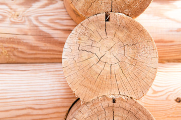 wooden hause. sectioned log.