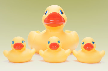 Familia de patos.