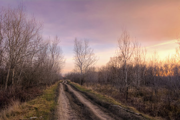 Old country road at the autumn sunset light - 63023213
