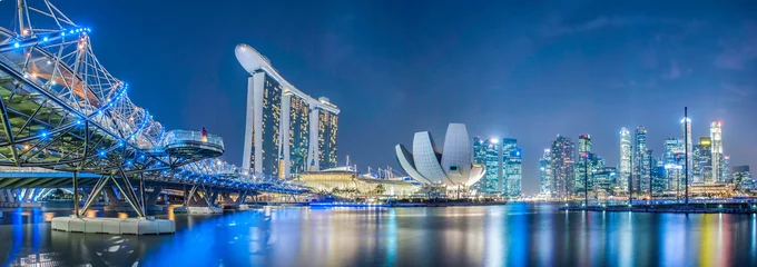 Foto op Plexiglas Skyline Singapore stad bij nacht
