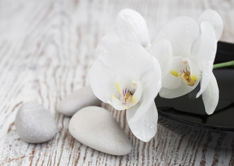 Fototapeta na wymiar Orchids spa