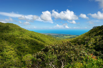 Tropical jungles of Mauritius island