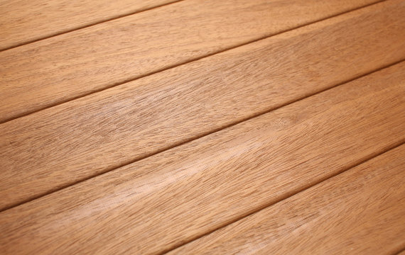 Teak tree wood pattern