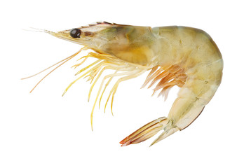 Banana Prawn