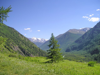 Obraz premium Mountains Altai