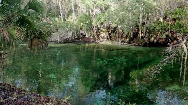 Quelle Florida (Blue Spings)
