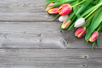 fresh tulips on wooden background