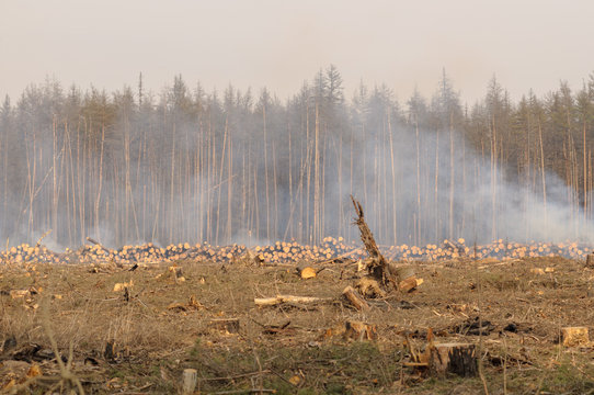 Location deforestation in the smoke of fires