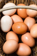 Organic, free-range eggs in vintage French basket