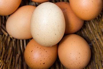 Organic, free-range eggs in vintage French basket