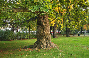 Rathauspark in Vienna. Austria