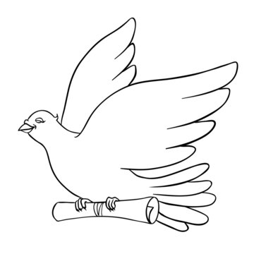 Post Bird, Mail pigeon, Vector illustration