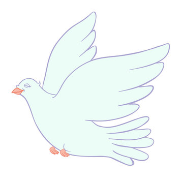dove of peace on a white background