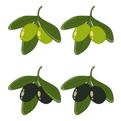 green and black olives on white background