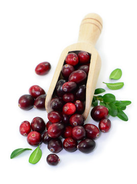 Beeren