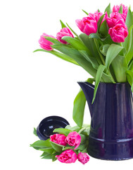 bunch  of pink tulips in blue pot