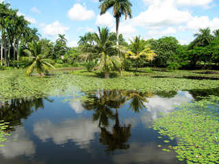 Fototapeta na wymiar Rezerwat przyrody Guama
